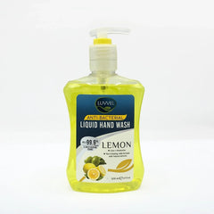 Luvvel Antibacterial Handwash — Gentle Hand Wash & Germ Protection - Luvvel